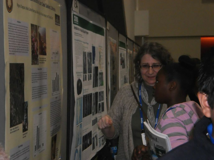 An adult and student are standing in front of a row of science posters and discussing a topic