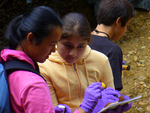 EBAYS students conducting field studies for their research project, 2008