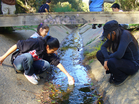 EBAYS students taking water samples for their research project, 2008