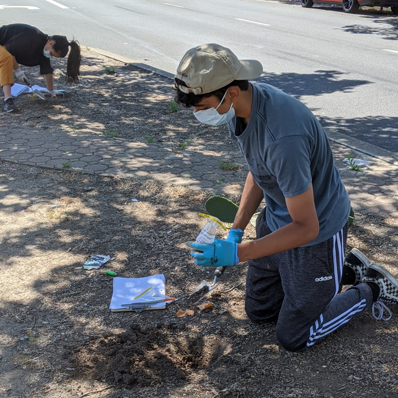 A student is digging in the dirt with a shovel for an environmental science project.